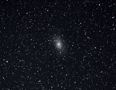 Галактика Треугольника (M 33).

