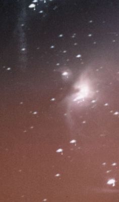 Большая туманность Ориона (M 42).
