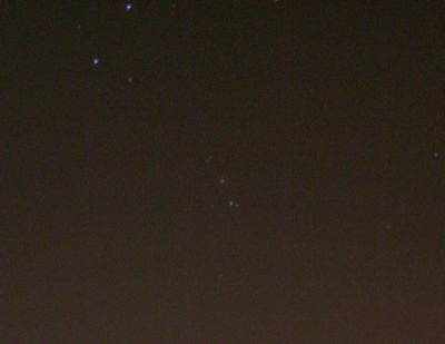Большая туманность Ориона (M 42).
