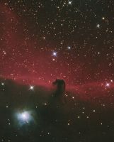 Имя файла=horsecropnrrl2.jpg
Размер файла=168КБ
Размеры=727x900
Дата=%803 %11, %2012 horsecropnrrl2.jpg