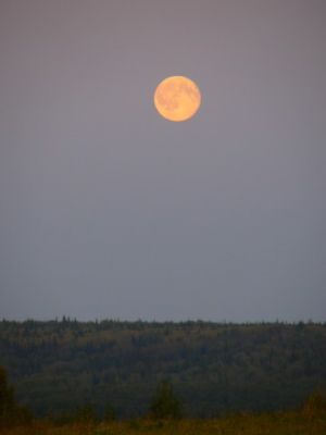 Восход Луны над Долиной Орла
