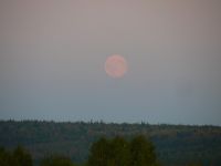 Имя файла=P1050985.jpg
Размер файла=50КБ
Размеры=640x480
Дата=%376 %26, %2010 P1050985.jpg