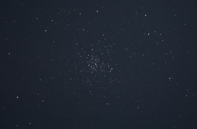 Рассеянное звездное скопление M 37
