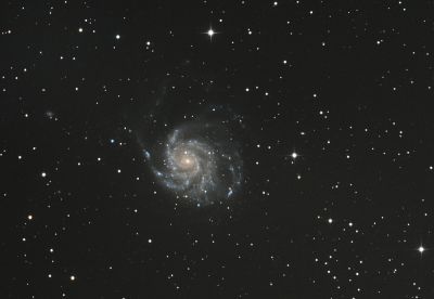 Галактика M 101
