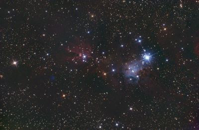 Туманности "Конус" и "Рождественская ель" (NGC 2264)
