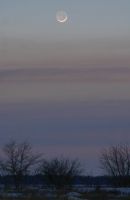 Имя файла=IMG_0328_Yarovoye_20120223.jpg
Размер файла=169КБ
Размеры=800x1229
Дата=%301 %23, %2012 IMG_0328_Yarovoye_20120223.jpg
