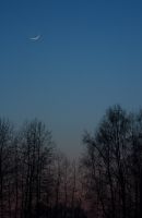 Имя файла=IMG_7609_2ff.jpg
Размер файла=170КБ
Размеры=700x1075
Дата=%305 %23, %2012 IMG_7609_2ff.jpg