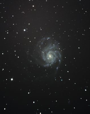 M 101
