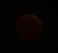 IMG_3300.jpg