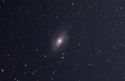 M 81
