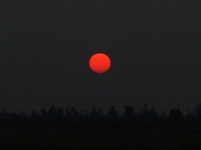Солнце на закате
20 июня 2012 г.
г. Яровое
Ключевые слова: Солнце