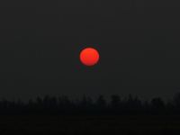 Имя файла=IMG_2598-cr_sunset_Yarovoye_20120620-2152.jpg
Размер файла=74КБ
Размеры=1024x768
Дата=%312 %11, %2012 IMG_2598-cr_sunset_Yarovoye_20120620-2152.jpg