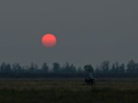 Имя файла=IMG_2602_sunset_Yarovoye_20120620-2155.jpg
Размер файла=105КБ
Размеры=1024x768
Дата=%312 %11, %2012 IMG_2602_sunset_Yarovoye_20120620-2155.jpg