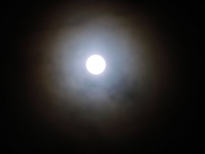 Лунное гало
18 ноября 2010 г.
