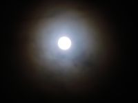 Имя файла=img1237.jpg
Размер файла=79КБ
Размеры=800x600
Дата=%172 %28, %2010 img1237.jpg