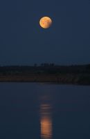 Имя файла=IMG_5431_cr_moon_ecl_Yarovoye_20110615-220530UTC.jpg
Размер файла=181КБ
Размеры=1242x1908
Дата=%338 %07, %2011 IMG_5431_cr_moon_ecl_Yarovoye_20110615-220530UTC.jpg