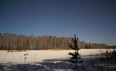 Лунной ночью...
