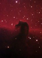 Имя файла=horseheadnr.jpg
Размер файла=114КБ
Размеры=600x838
Дата=%342 %07, %2011 horseheadnr.jpg
