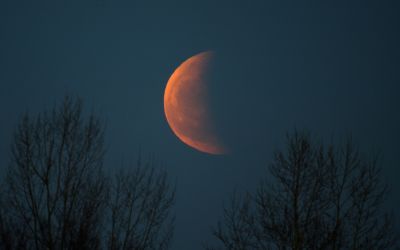 Частное лунное затмение 4 апреля 2015 г.
13:10UT
г. Новокузнецк
Ключевые слова: Затмение Луна
