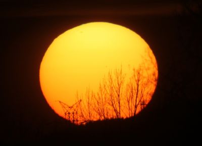 Солнце на закате
5 марта 2011 г.
