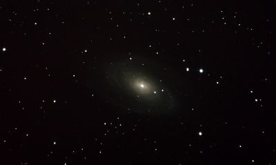 M 81
